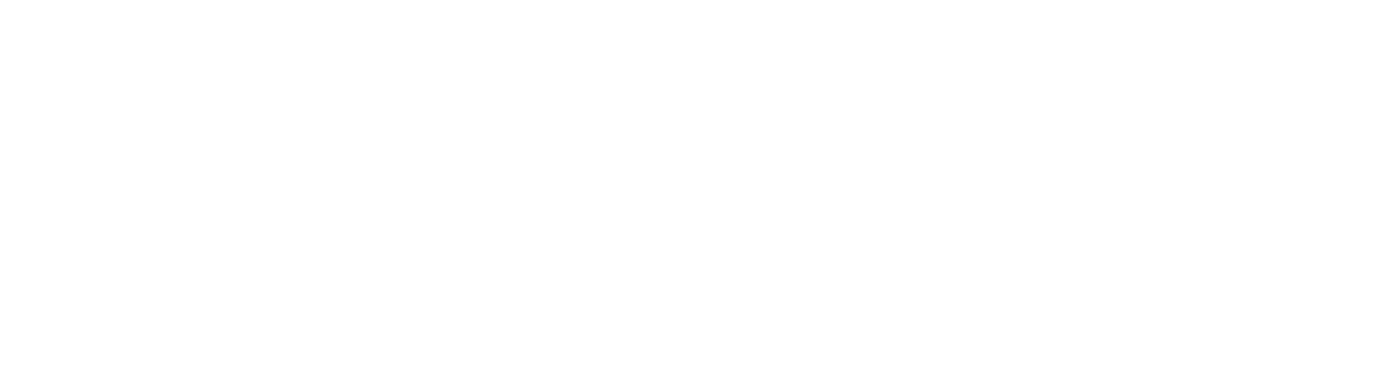 INSIEME Vienna